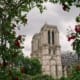 Zwiedzanie Katedry Notre-Dame w Paryżu
