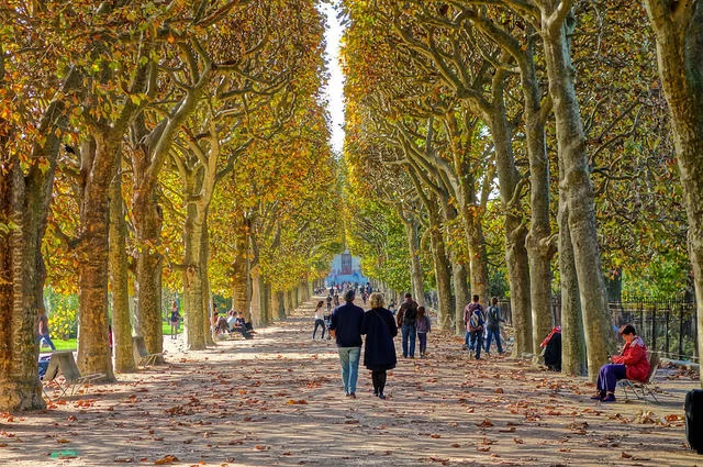 Falcon® Photography / Flickr / CC-BY-SA 3.0 Ogród botaniczny