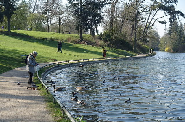 Guilhem Vellut / Flickr / CC-BY 2.0 Lasek Buloński