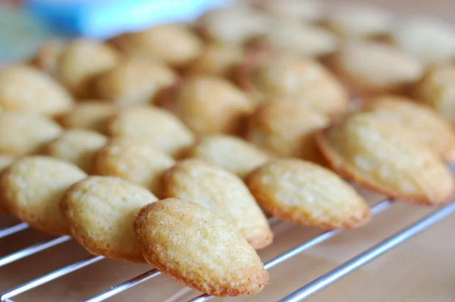 Merle ja Joonas / Flickr / CC-BY-ND 2.0 Madlen