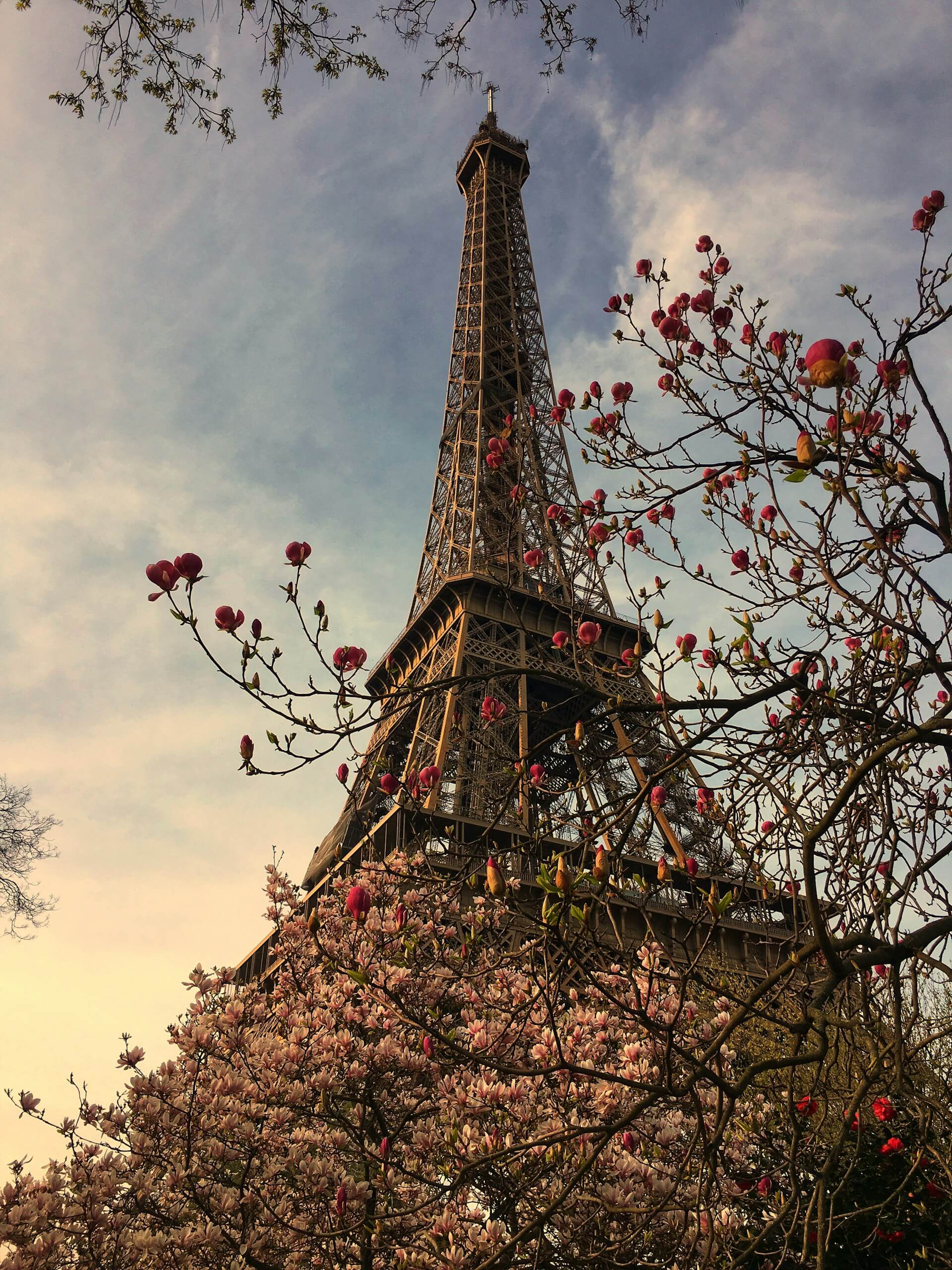 Paryż w marcu Paryż w marcu