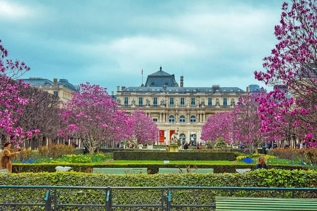 Sami Zoller / Unsplash Luxemburg garden