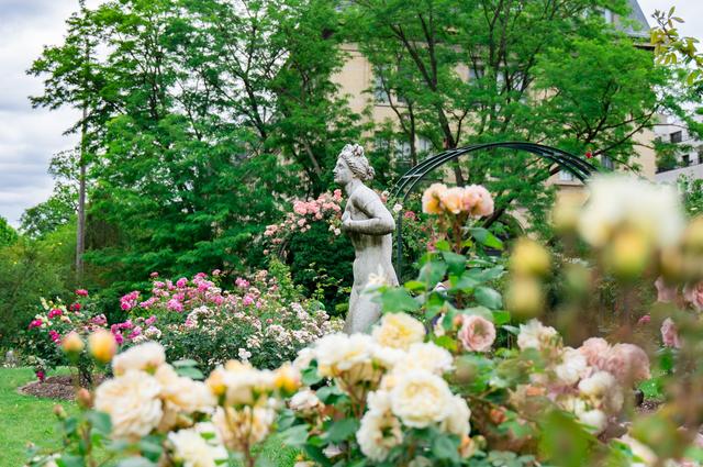 Daphné Be Frenchie / Unsplash Paryż