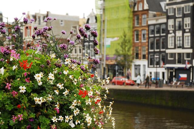 Pixabay Amsterdam