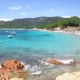 Pallombaggia