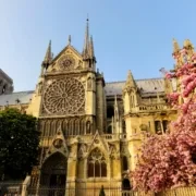 Katedra Notre Dame