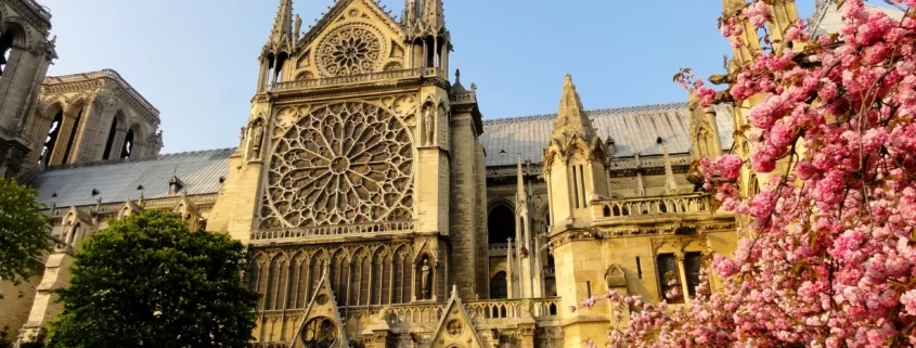 Katedra Notre Dame