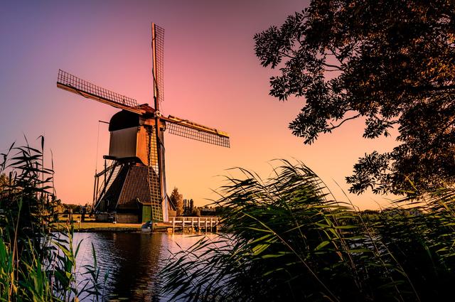 Zdjęcia: 13464740 / Pixabay Holandia