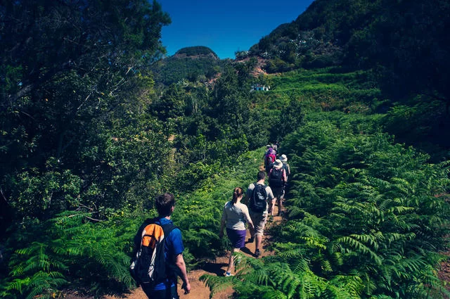 Zdjęcie: webtenerife.com Najlepsze atrakcje Teneryfy