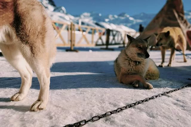 Urlop w Alpach na każdy gust i kieszeń