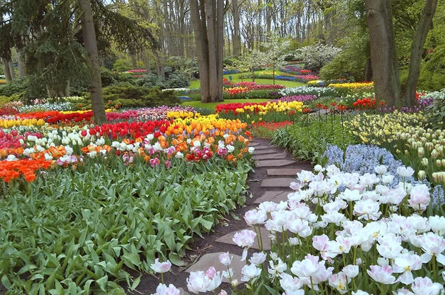 Fot. Joost Pals / flickr.com / CC BY 2.0 Keukenhof