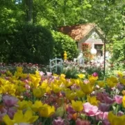 Park tulipanów Keukenhof