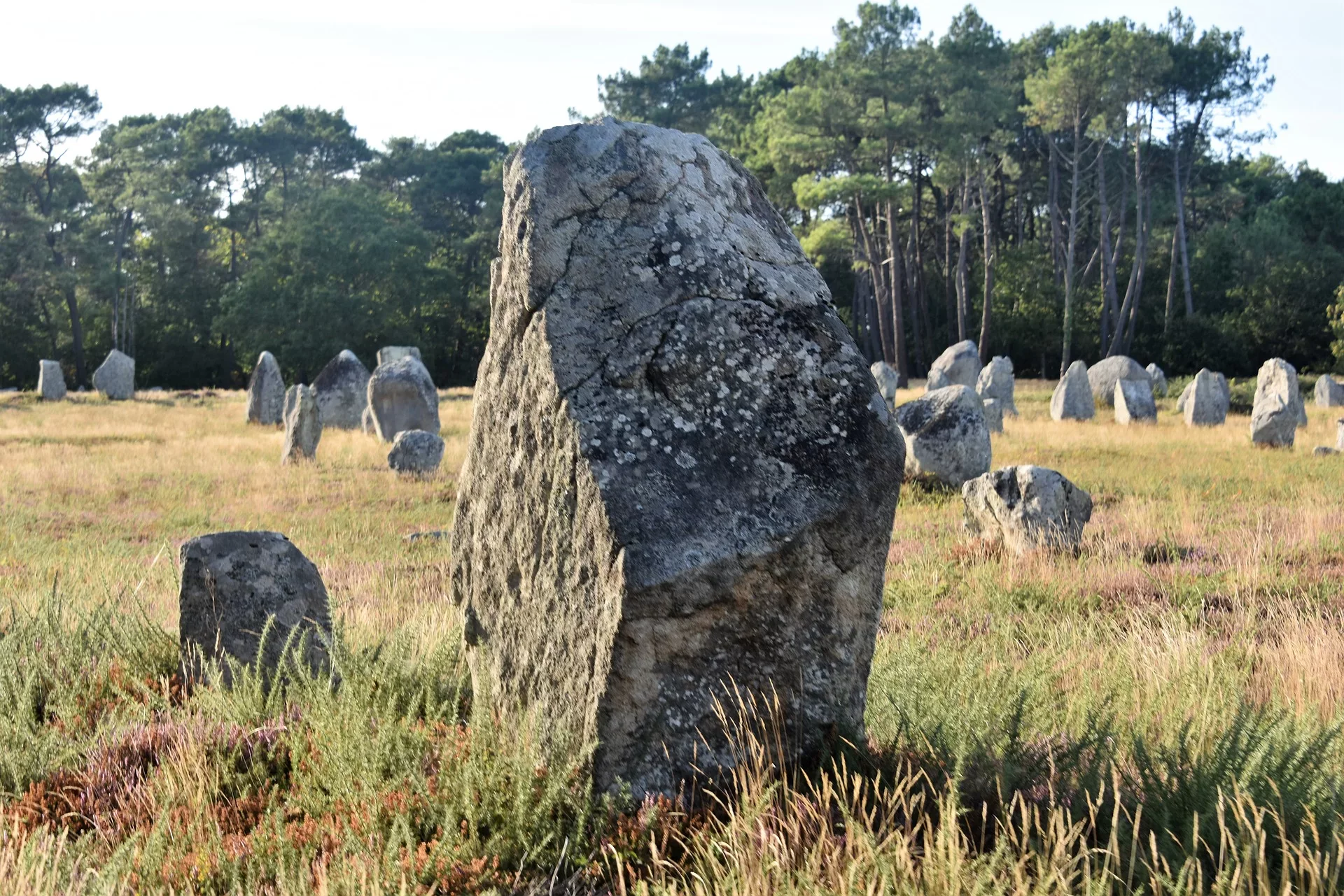 Carnac Carnac