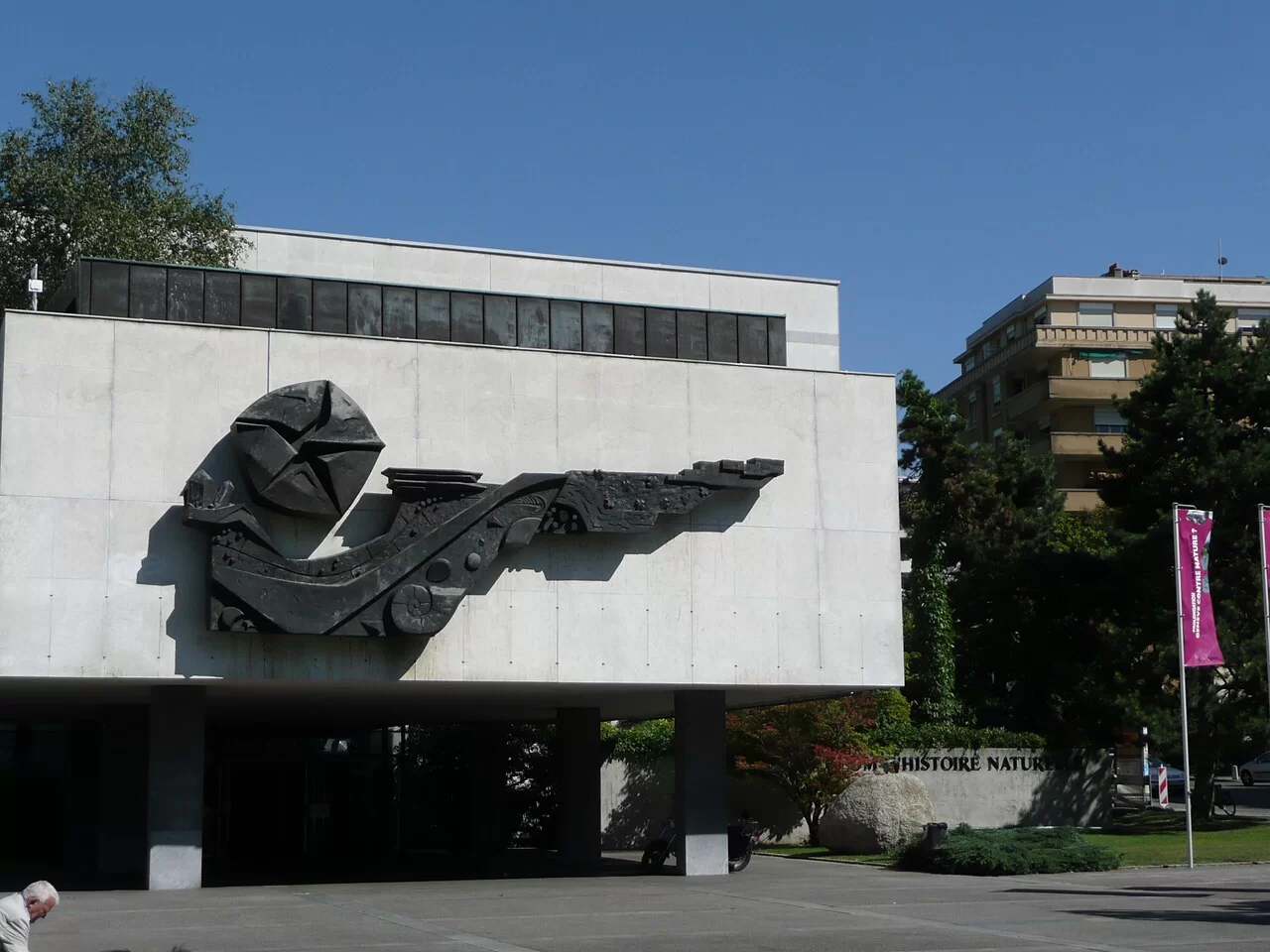 Muzeum Historii Naturalnej