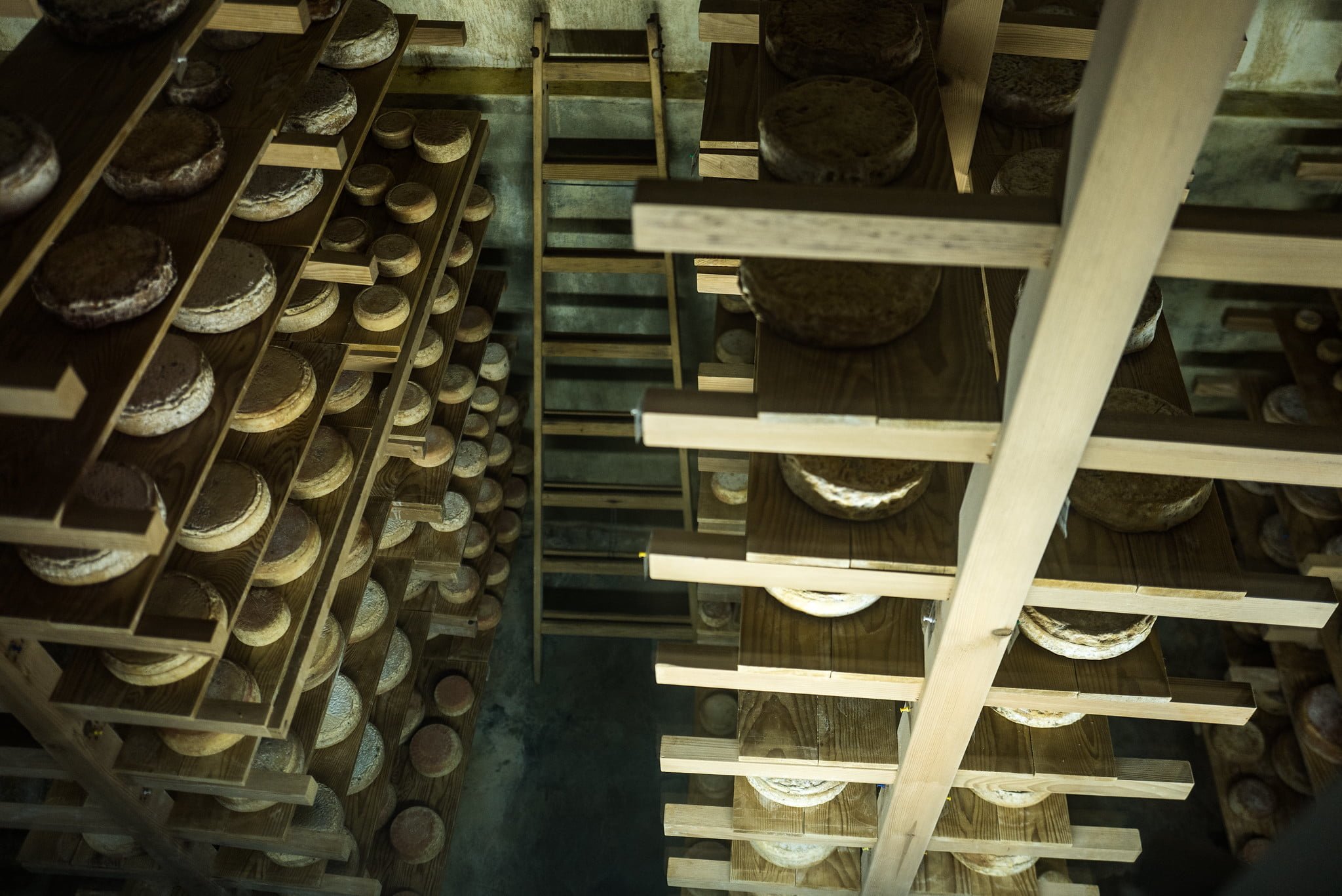 Smaczne pamiątki z Dubrownika