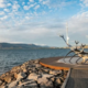 Co zobaczyć w Reykjaviku