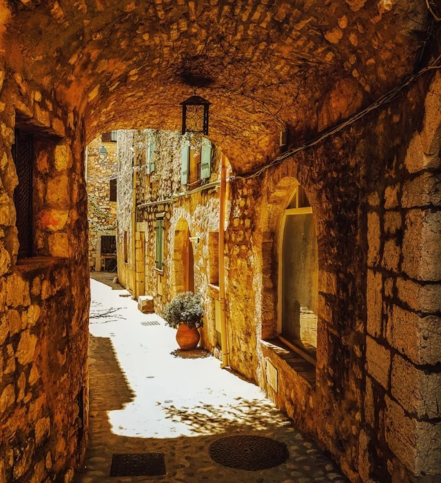 Kościół kolegiacki (L'église Collégiale)