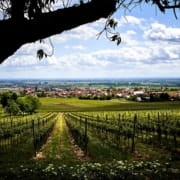 Nadrenia-Palatynat Podróż samochodem przez Nadrenię-Palatynat