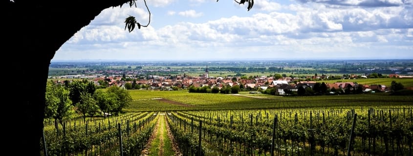 Podróż samochodem przez Nadrenię-Palatynat