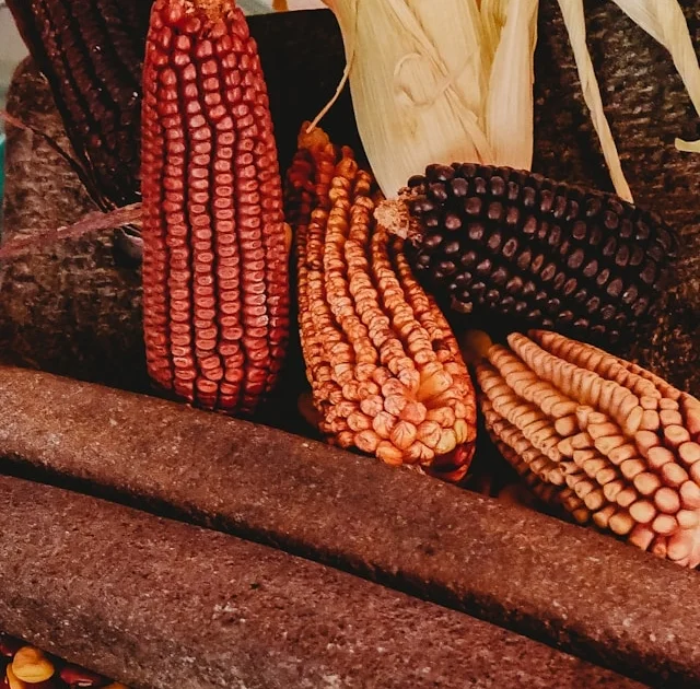 Co ma do zaoferowania Meksyk: główne dania kuchni narodowej