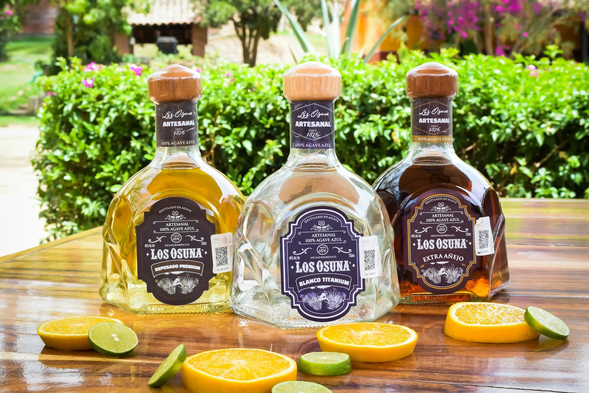 Tequila Tequila