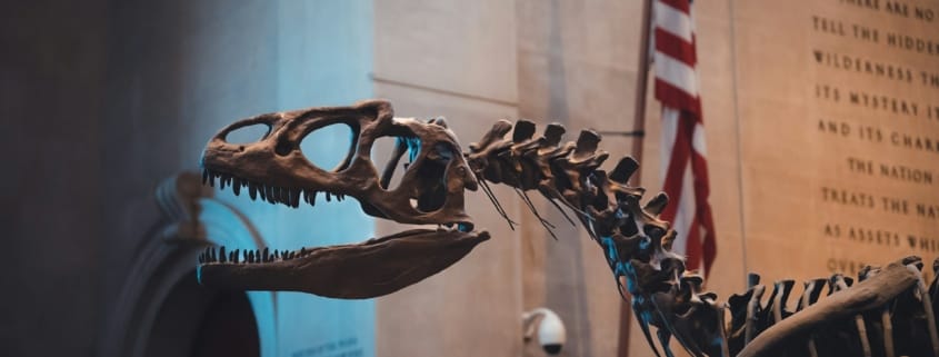 American Museum of Natural History