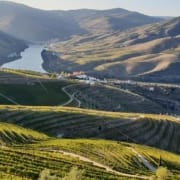 Podróż do Doliny Douro w Portugalii Podróż do Doliny Douro w Portugalii