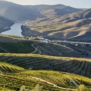 Podróż do Doliny Douro w Portugalii