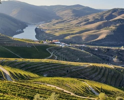 Podróż do Doliny Douro w Portugalii