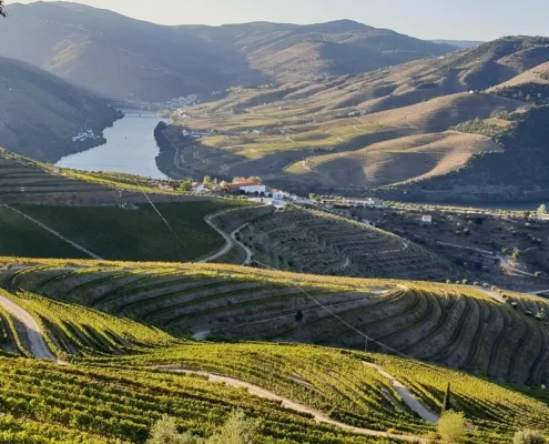 Podróż do Doliny Douro w Portugalii