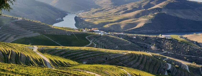 Podróż do Doliny Douro w Portugalii Podróż do Doliny Douro w Portugalii