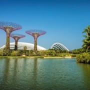 Singapore Bay Gardens