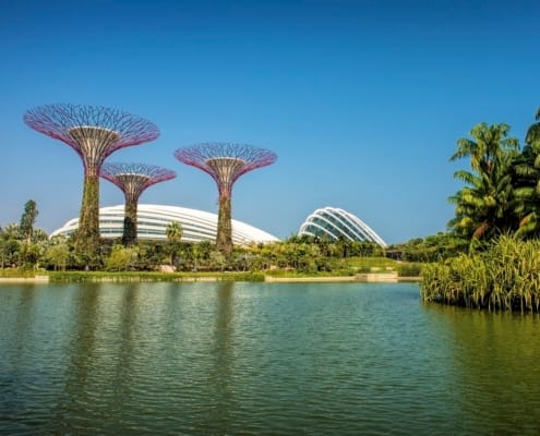Singapore Bay Gardens
