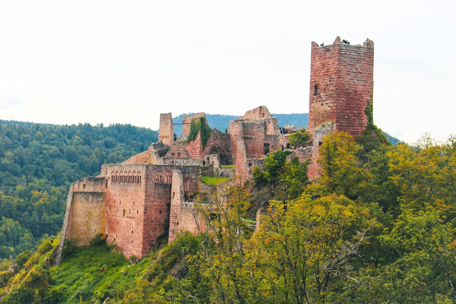 Ribeauvillé Ribeauvillé