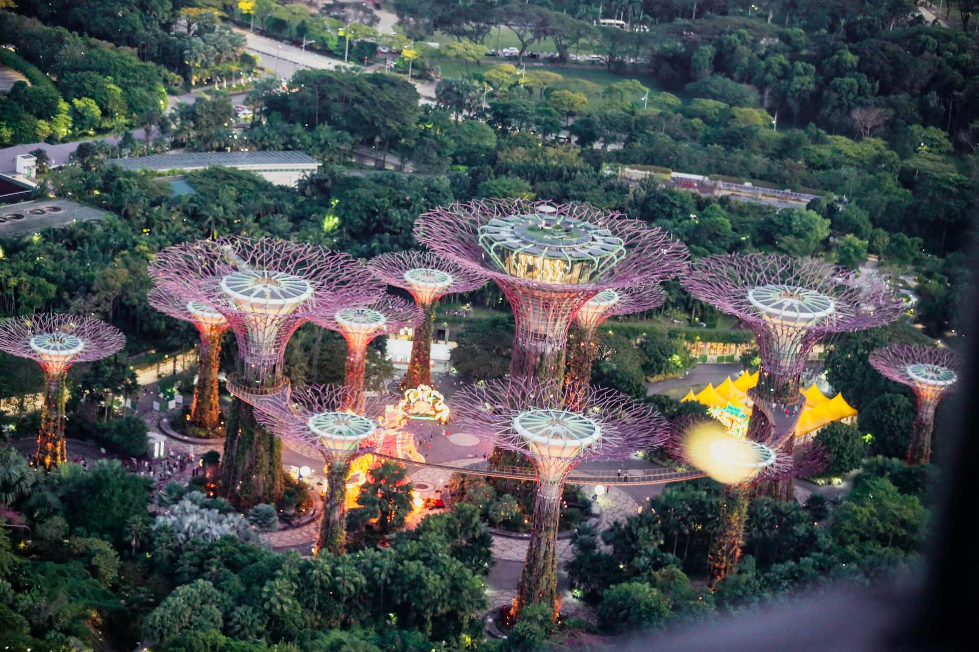 Supertree Grove Supertree Grove