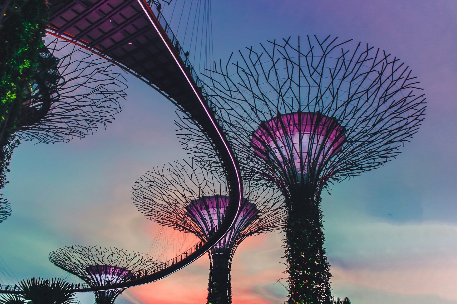 Ścieżka spacerowa SkyWay w Gardens by the Bay Ścieżka spacerowa SkyWay w Gardens by the Bay