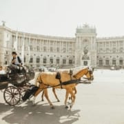 Co robić w Wiedniu? Co robić w Wiedniu?