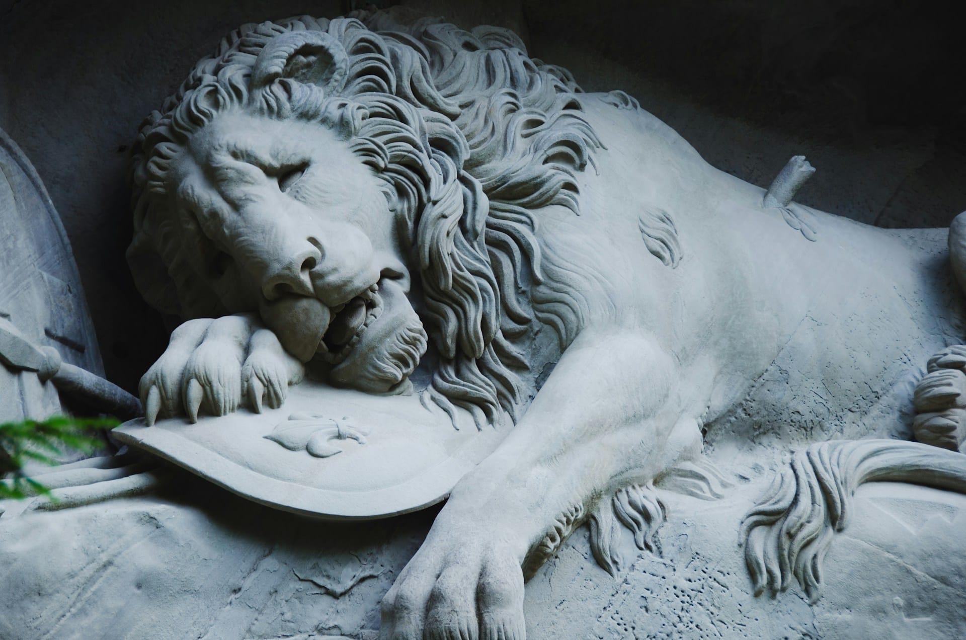 Umierający Lew Umierający Lew