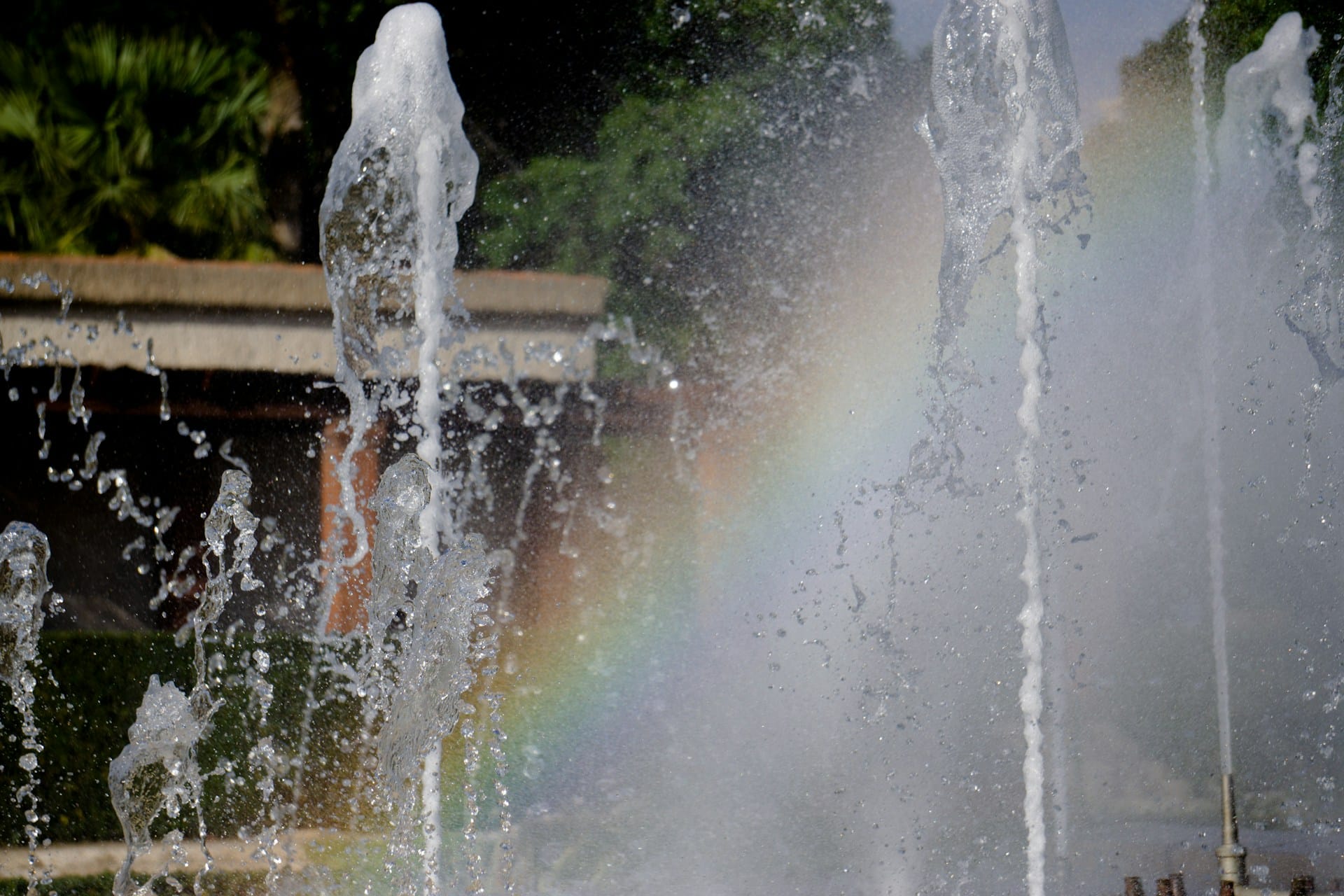 Ogrody Turii (Jardín del Turia)