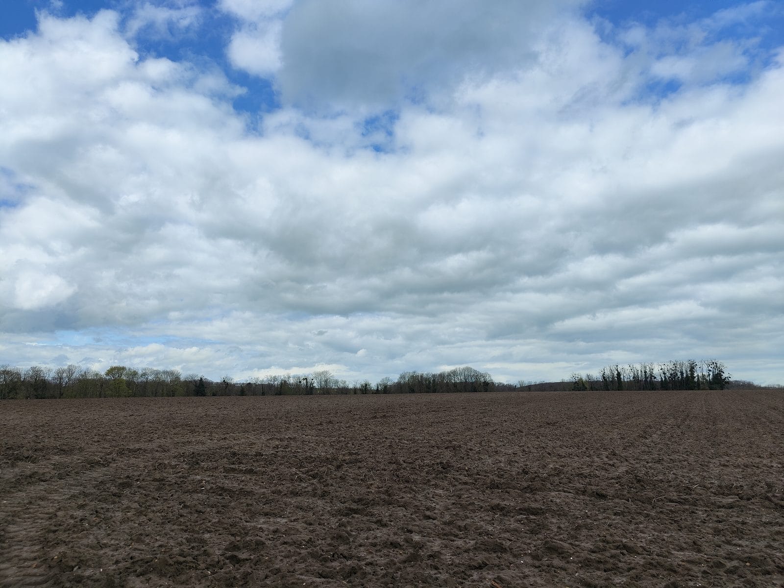 Pole na płaskowyżu nad Auvers-sur-Oise