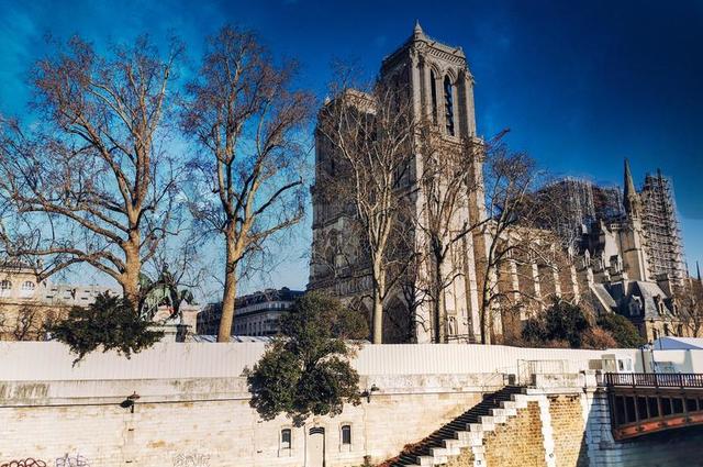 Katedra Notre-Dame w Paryżu 