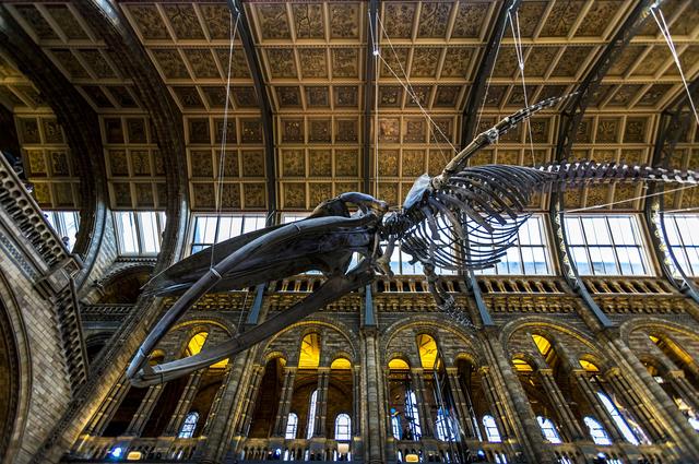 Natural History Museum