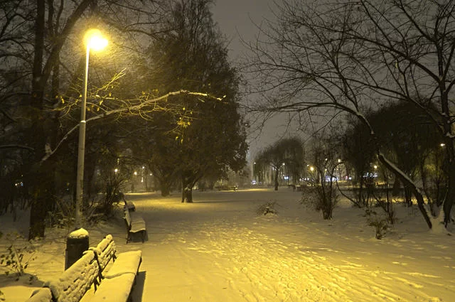 Idź do świątecznie udekorowanych parków