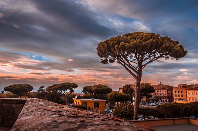 Frascati