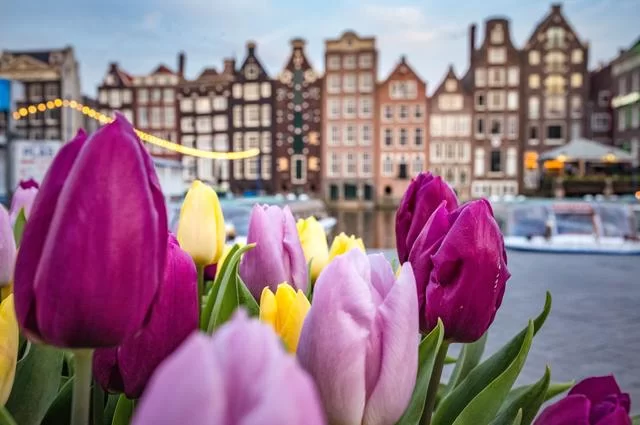 Amsterdam wiosną