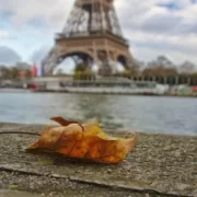 Paryż w październiku