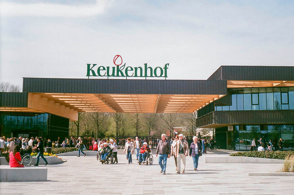Keukenhof — królewski park kwiatowy w Holandii