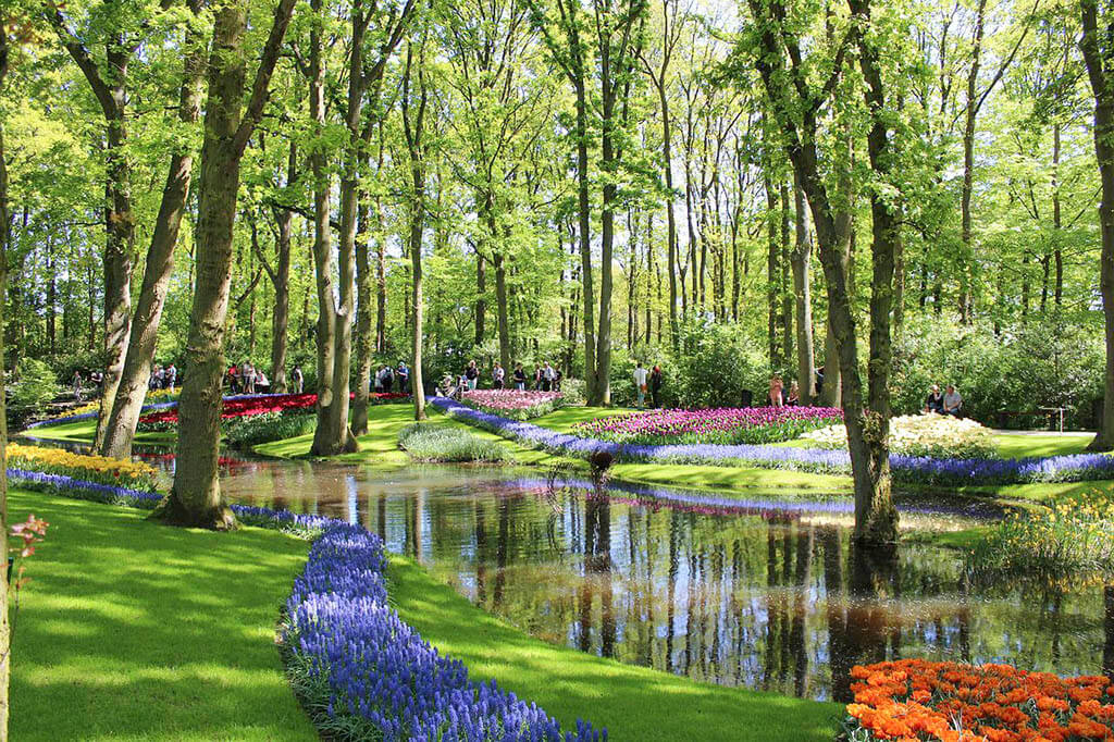 Keukenhof — królewski park kwiatowy w Holandii