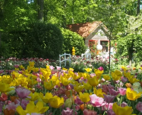 Park tulipanów Keukenhof