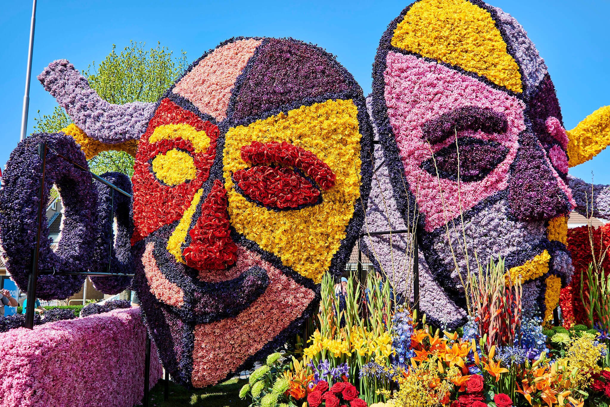 Parada Kwiatów w Holandii wszystko, co musisz wiedzieć Paris10.pl